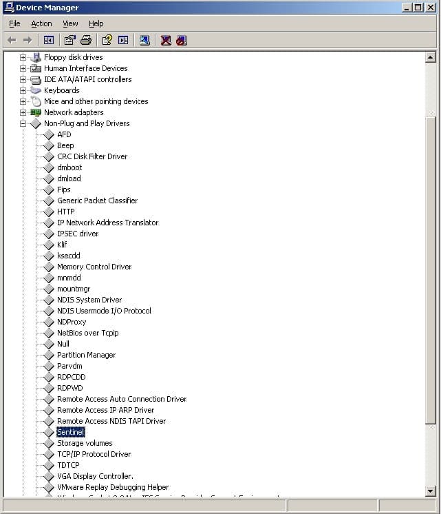Sentinel_driver_issue_at_Windows_startup_1